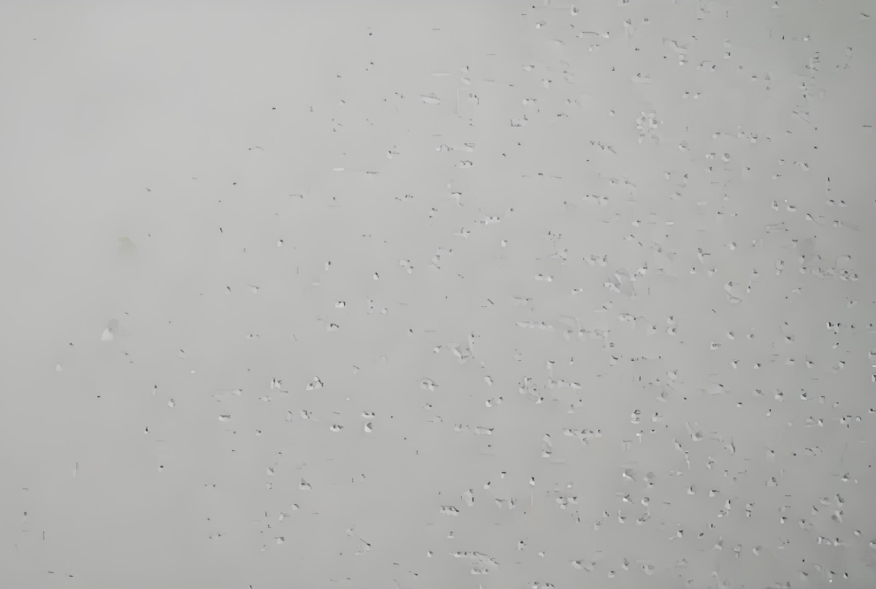 ΢ňDƬ_20250222113305.png